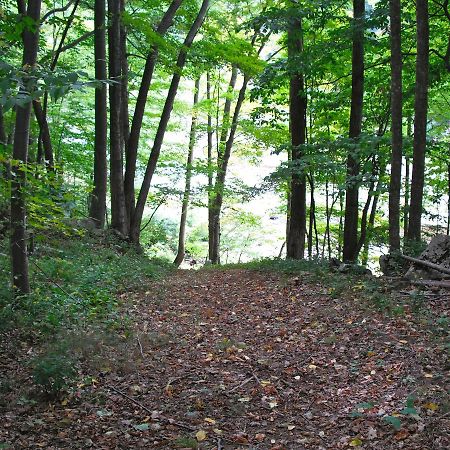 Black Bear Lodge Prattsville Zewnętrze zdjęcie