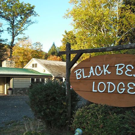 Black Bear Lodge Prattsville Zewnętrze zdjęcie
