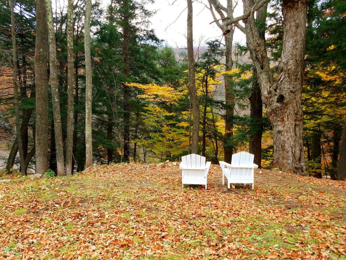 Black Bear Lodge Prattsville Zewnętrze zdjęcie